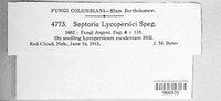 Septoria lycopersici image